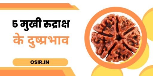 5 mukhi rudraksha side effects, 5 mukhi rudraksha side effects in hindi, 5 mukhi rudraksha negative effects, side effects of wearing 5 mukhi rudraksha, 4 mukhi rudraksha side effects, 5 mukhi rudraksha disadvantages, 5 mukhi rudraksha side effects hindi, effects of 5 mukhi rudraksha, side effects of 5 mukhi rudraksha, 5 mukhi rudraksha quora, 5 mukhi रुद्राक्ष पहनने के फायदे और नुकसान, rudraksha side effects in hindi, 5 मुखी रुद्राक्ष के दुष्प्रभाव, 5 मुखी रुद्राक्ष के नुकसान बताएं, 5 मुखी रुद्राक्ष नुकसान इन हिंदी, 5 मुखी रुद्राक्ष नुकसान, 5 मुखी रुद्राक्ष का नुकसान, 5 मुखी रुद्राक्ष के दुष्प्रभाव, 5 मुखी रुद्राक्ष के नुकसान, रुद्राक्ष के दुष्प्रभाव, 5 मुखी रुद्राक्ष कैसे धारण करें, 5 मुखी रुद्राक्ष का नुकसान, 5 मुखी रुद्राक्ष पहनने के नुकसान, ,