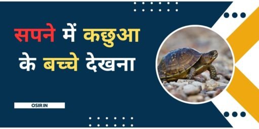 Sapne Mein kachua ka katna, सपने में कछुए का शिकार करना, सपने में कछुआ को देखना, Sapne Mein kachua ko marna, Sapne Mein kachua ke Ande dekhna, सपने में दो कछुए की लड़ाई देखना, kachhua Ki Jodi dekhna, सपने में मरा हुआ कछुआ देखना, सपने में कछुआ के बच्चे देखना , Sapne Mein Kachua ke bacche dekhna,